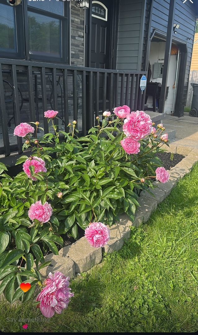 Building Photo - Boardman, 3 Bedroom Ranch Home for Rent! Apply Now!