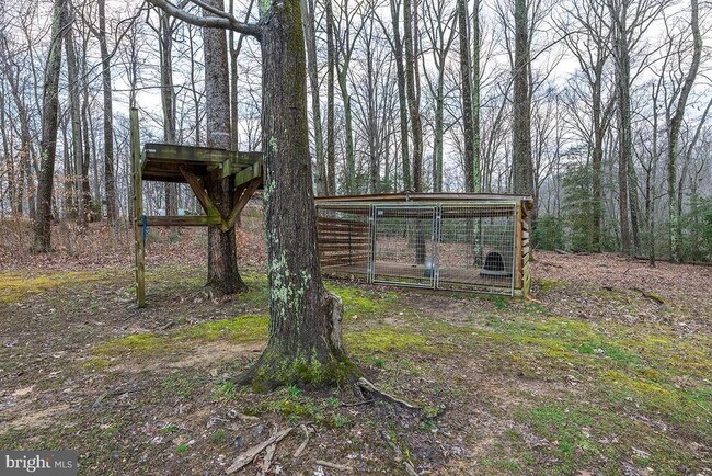 Building Photo - 5035 Timberwood Trail