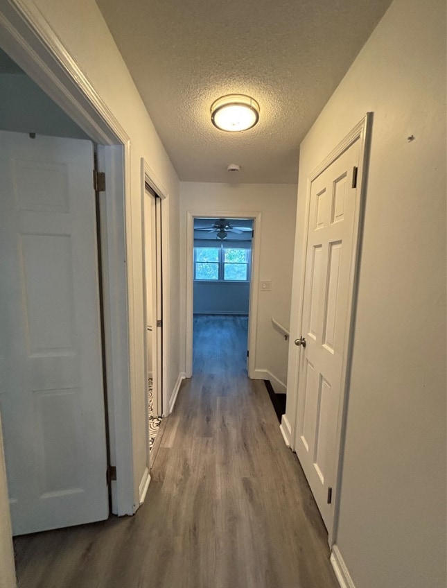 Building Photo - 723 Sir Walter Cir