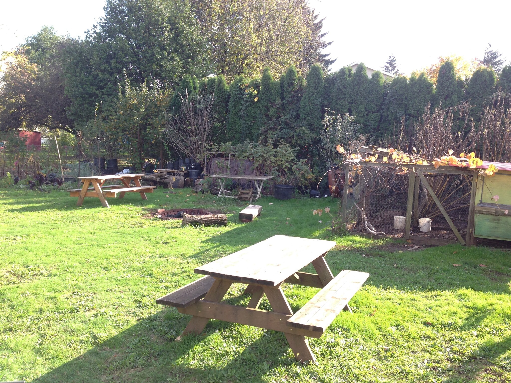 Picnic tables and Firepit - 5320 SE Schiller Street