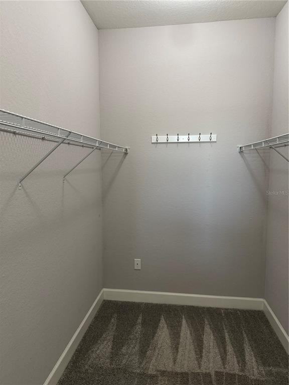 Building Photo - 1365 Evergreen Park Cir