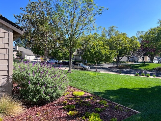Building Photo - Large 3BR/2BA Townhouse, 2 Car Garage, Was...