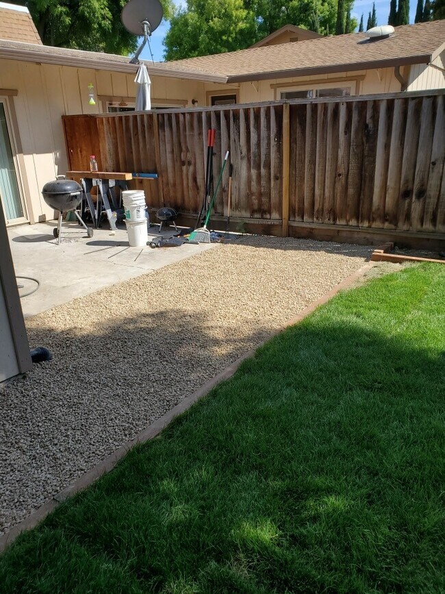 Backyard - 627 Timberpine Ave