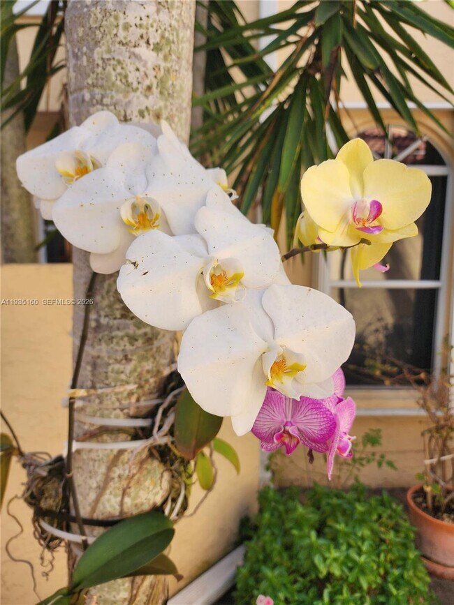 Building Photo - 21028 NE 34th Ct