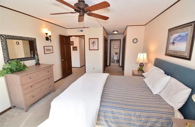 Building Photo - 3 Bedroom Townhome in Gleneagle