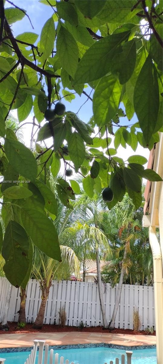 Building Photo - 659 Verona Pl