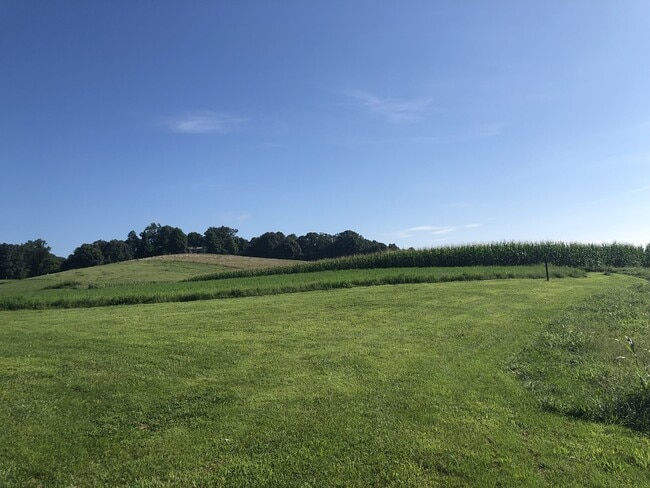 Building Photo - Super cute farm house with beautiful mountain view! 2 bedrooms, 1 bathroom!