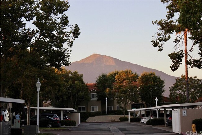 Building Photo - 18 Via Terrano
