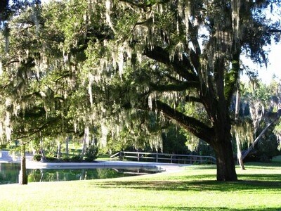 Building Photo - Longwood (The Springs) - 2 Bedroom, 1 Bathroom - $1,795.00