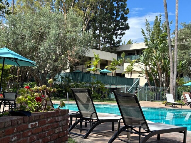 Poolside - 448 N Bellflower Blvd