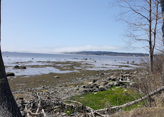 Building Photo - 7 Beachwood Bay Dr