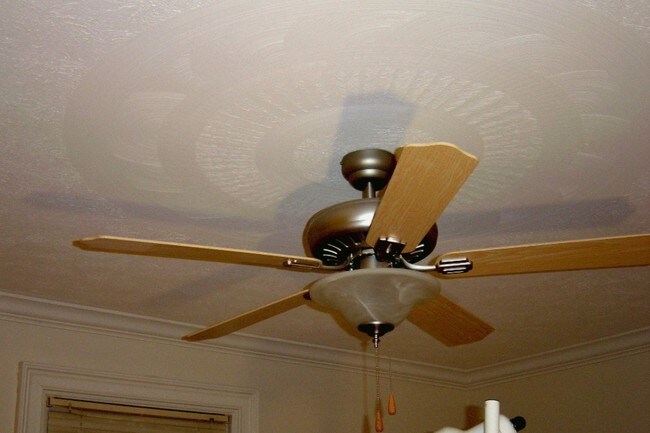 Ceiling Medallions - 220 Oak St