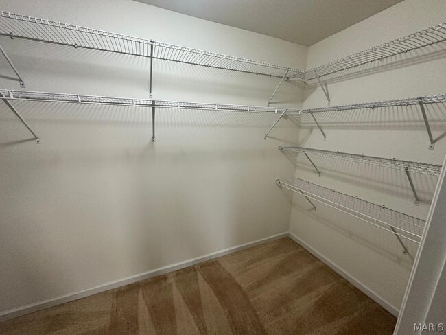 Building Photo - 330 Wilhelmine Ct