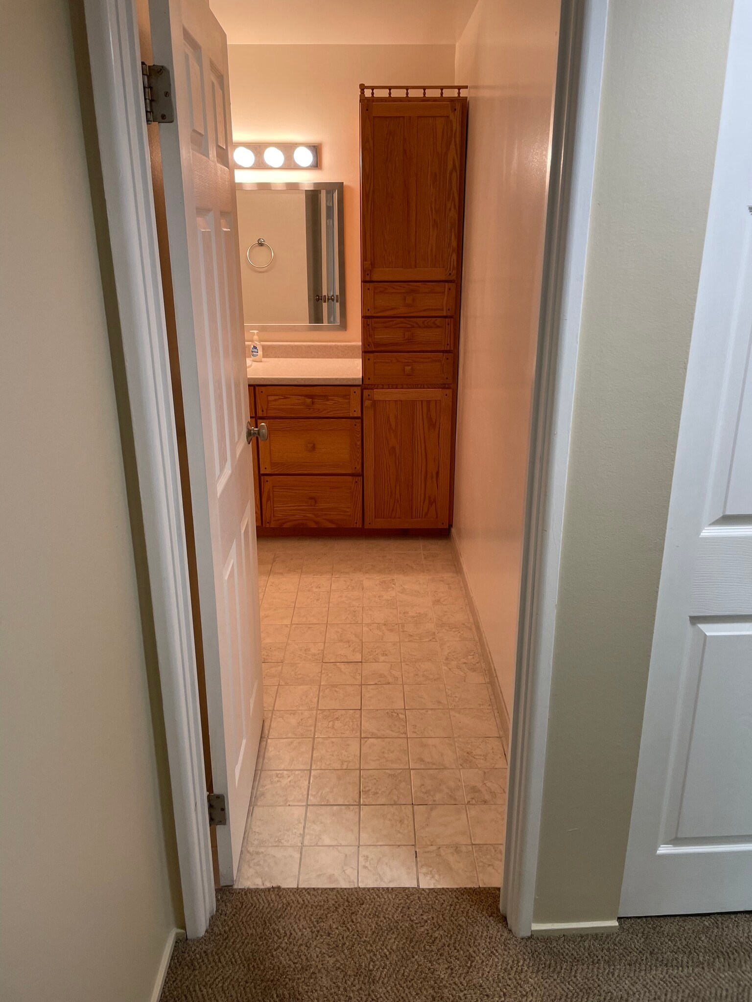 Bathoom - 2118 Pauline Blvd