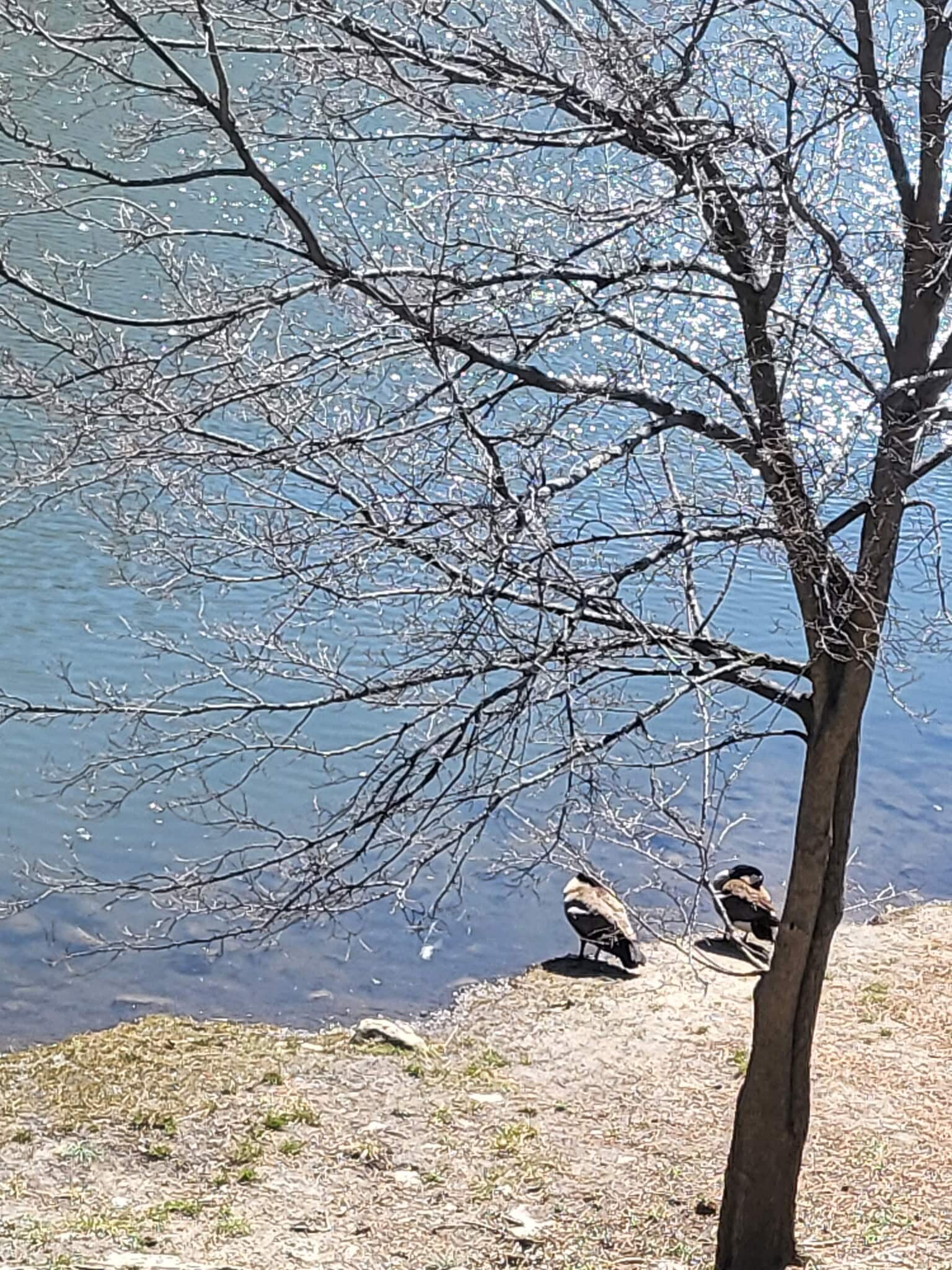 Building Photo - 1525 Norway Ln