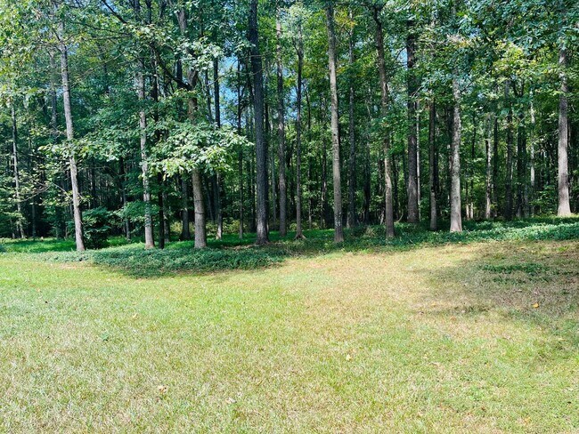 Building Photo - Wow! 3 bedroom 2 bathroom in Senoia. Must ...