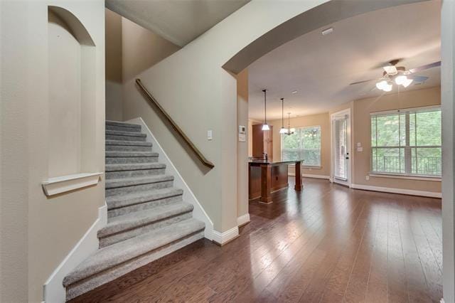 Building Photo - 1003 Brook Hollow Dr