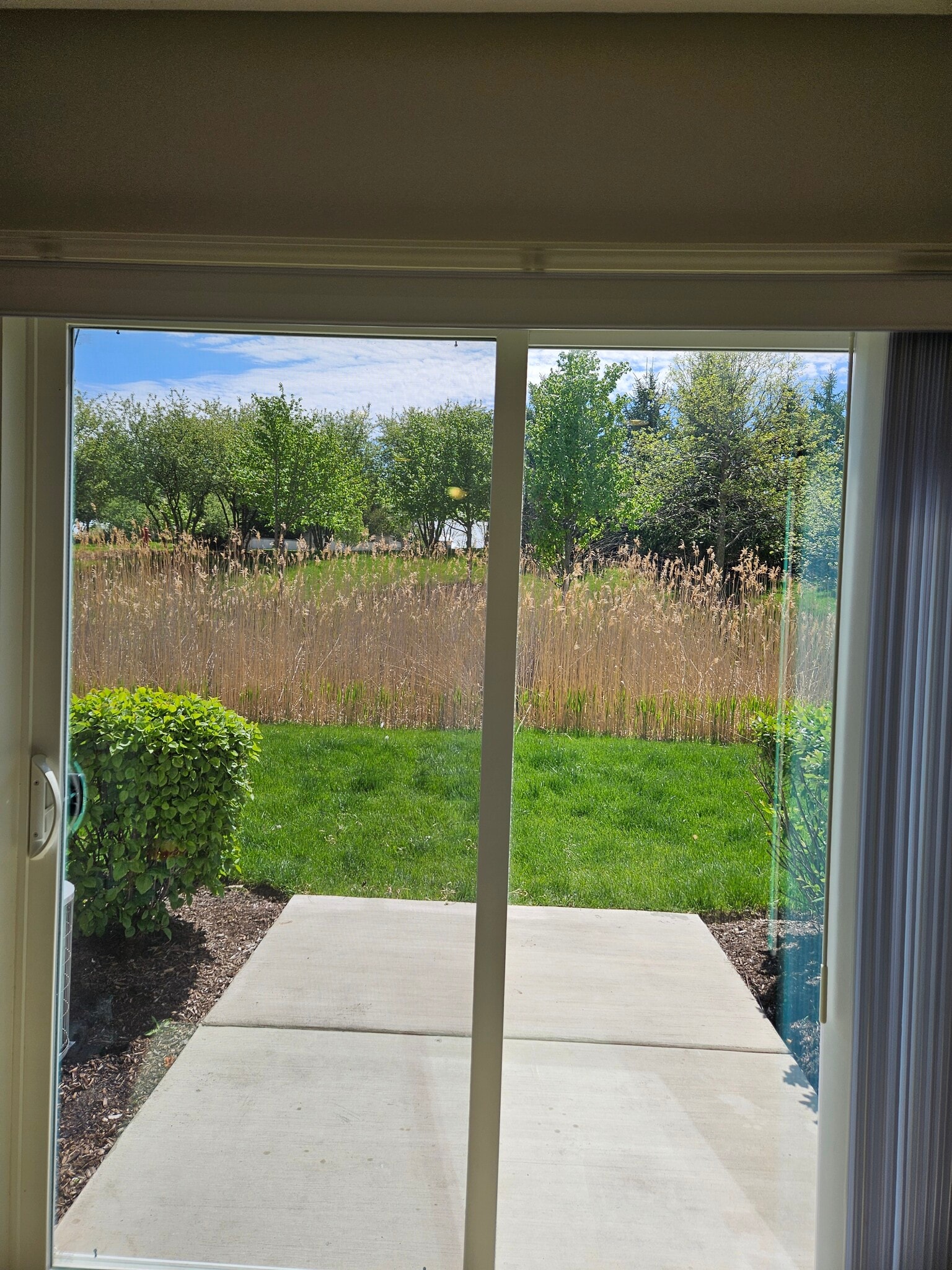 PATIO - 1267 Da Vinci Dr