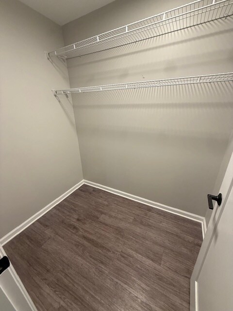 Building Photo - 1504 Ewing Pk Lp