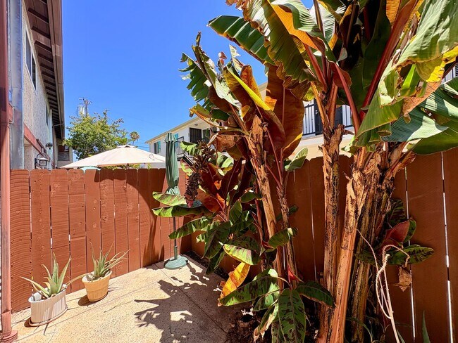 Building Photo - Amazing Two Bed 1.5 Bath Condo - University Heights - Garage & Driveway Parking