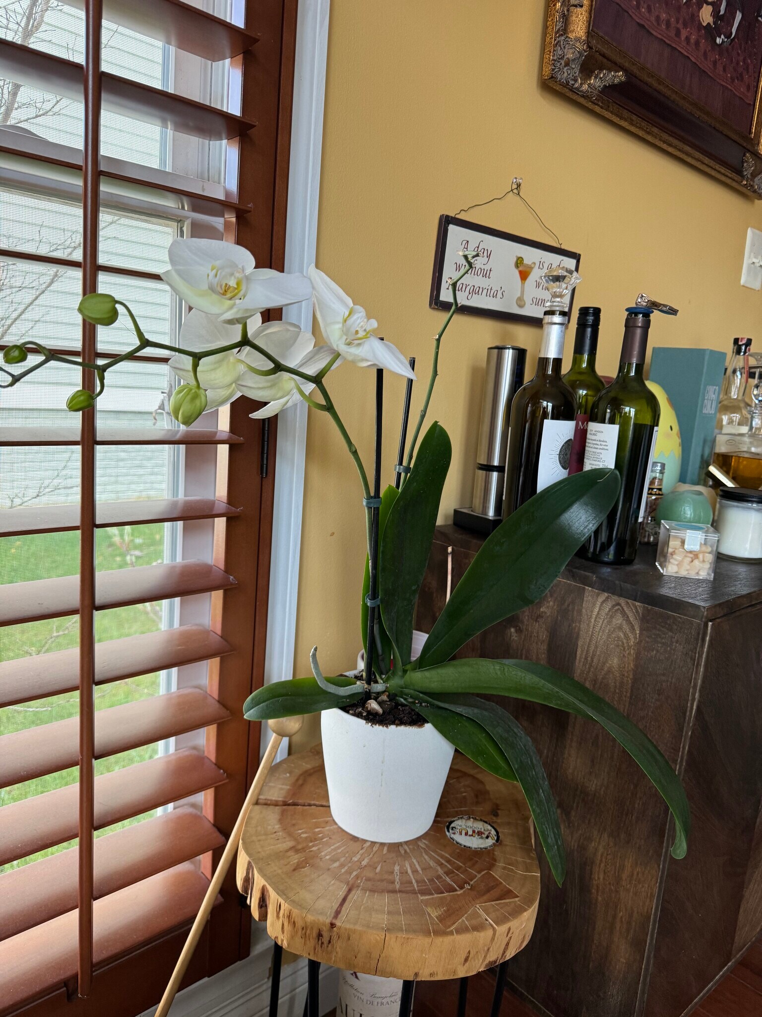 Building Photo - 11407 Iager Blvd