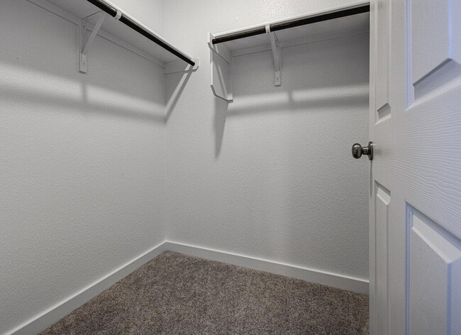 Building Photo - 424 Bristlecone Bend