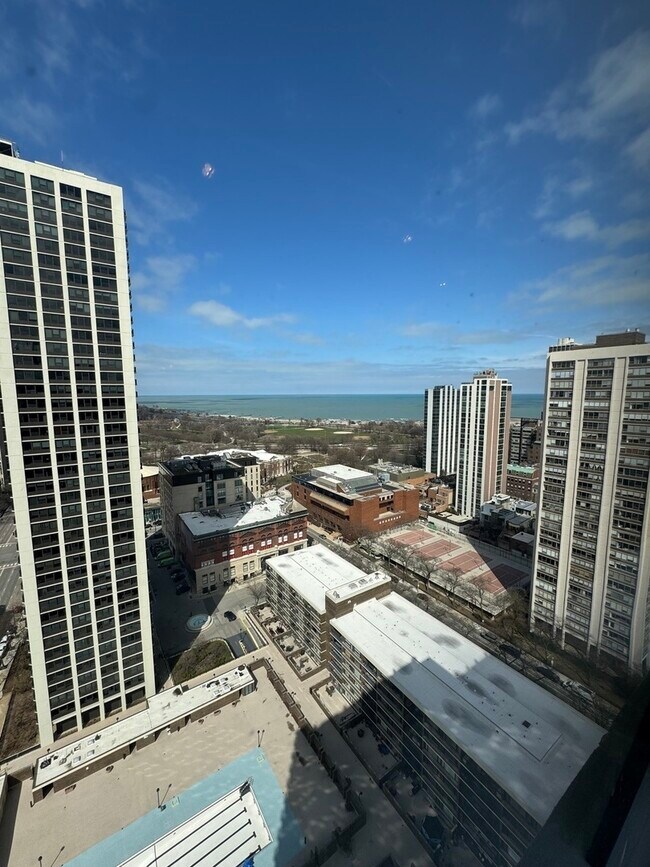 Building Photo - 1460 N Sandburg Terrace