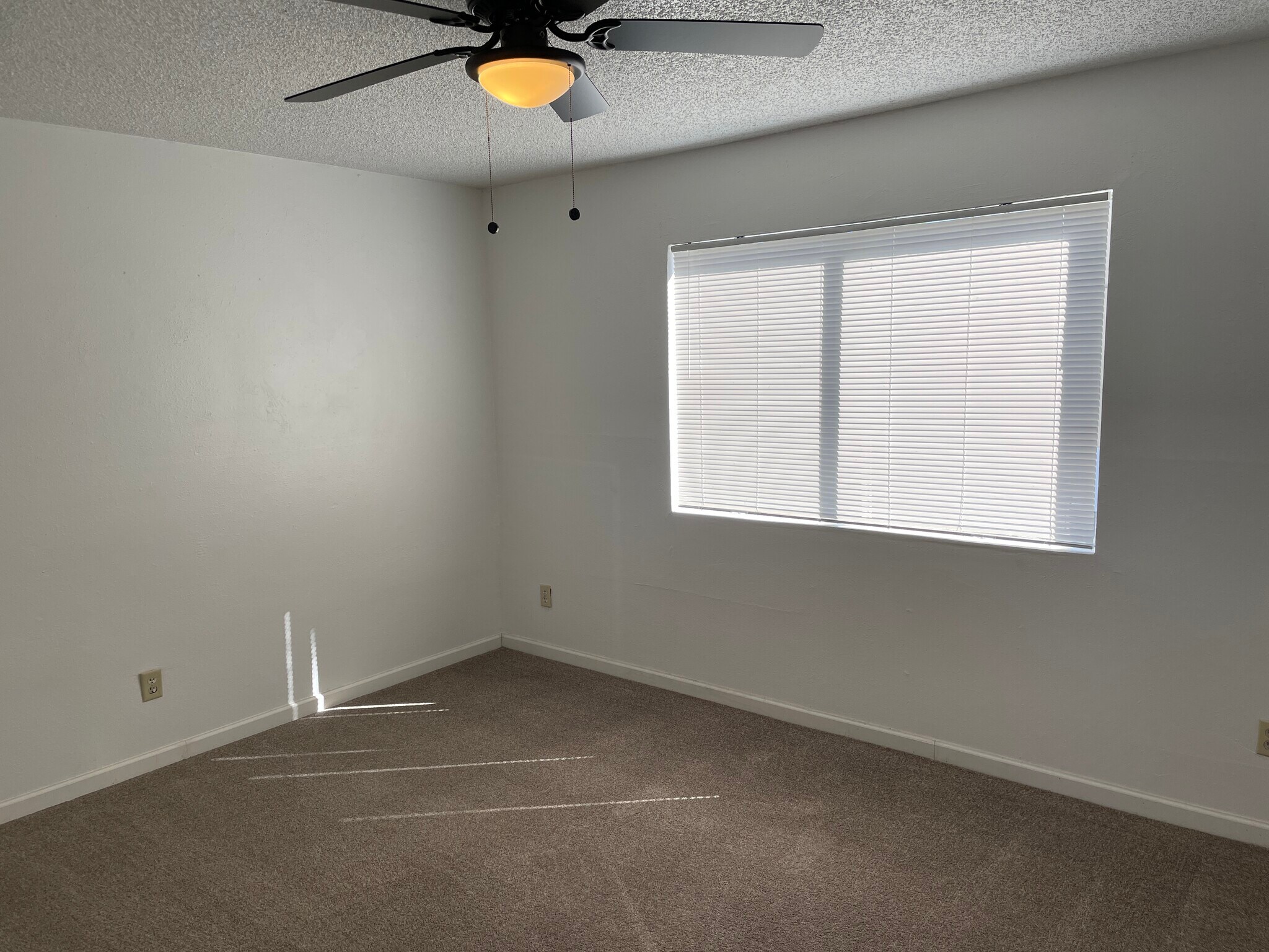 Building Photo - 485 Mill St