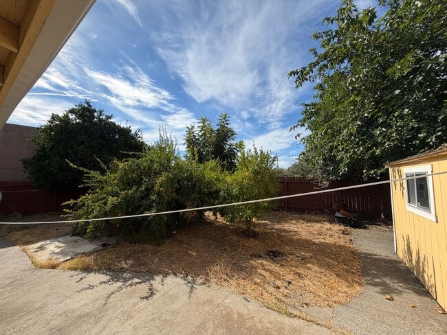 Building Photo - 1528 Los Robles Blvd