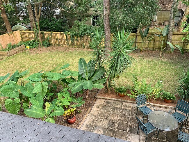 Backyard - 875 NW 11th Ave