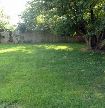 Building Photo - LOVELY 3 BR House! W/D Hookups, HW Floors,...