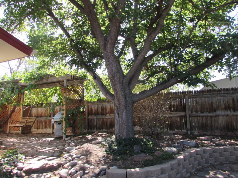 Building Photo - 2116 Bookcliff Ave