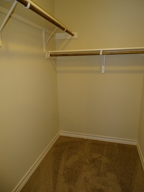 Building Photo - 6007 Karly Way