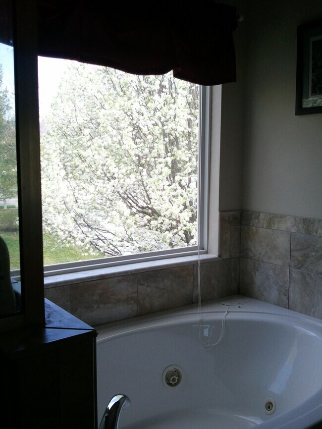 Master Bathroom - 16939 Hickory Forest Ln