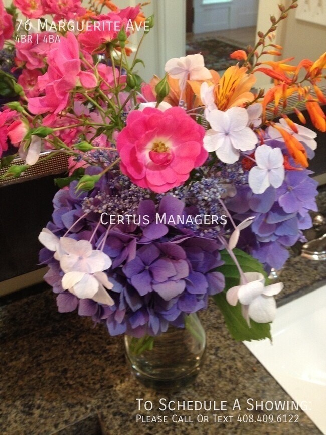 Building Photo - 76 Marguerite Ave