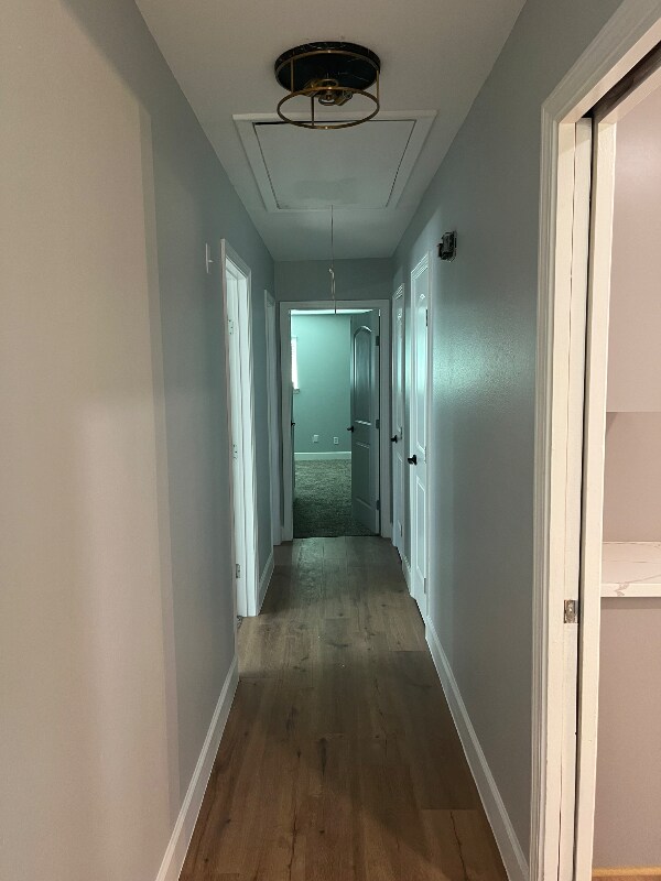 Building Photo - 1823 Shadow Bend Dr