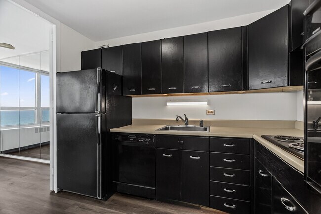 Building Photo - 4800 S Chicago Beach Dr