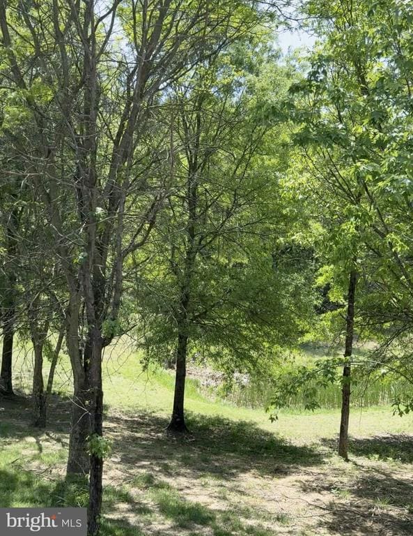 Building Photo - 8809 Francisco Ct