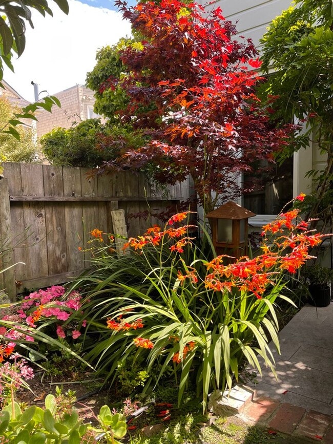 Building Photo - 2937 Scott St