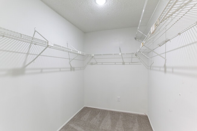 Building Photo - 6349 Oak Meadow Bend