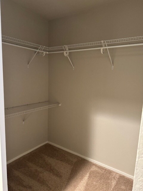 Building Photo - 8407 18th Ave W