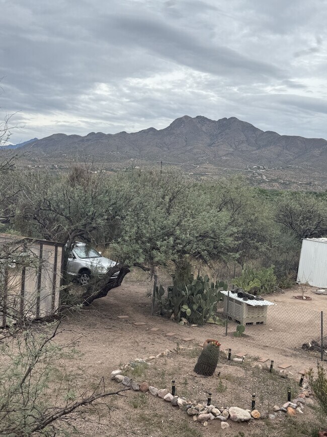 Building Photo - 433 Avenida Garza