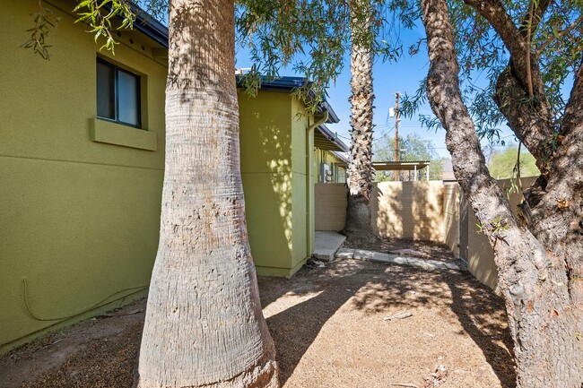 Fenced yard - 350 N Silverbell Rd