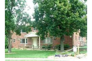 Primary Photo - Petra Apartments