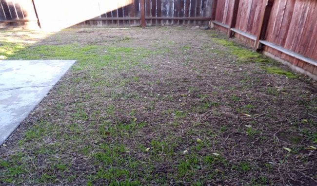 Building Photo - Beautiful House for Rent in Citrus Heights