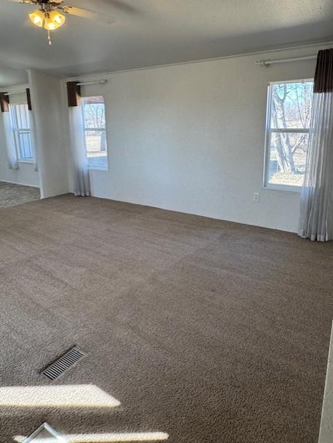 Building Photo - 8501 E State Hwy 29