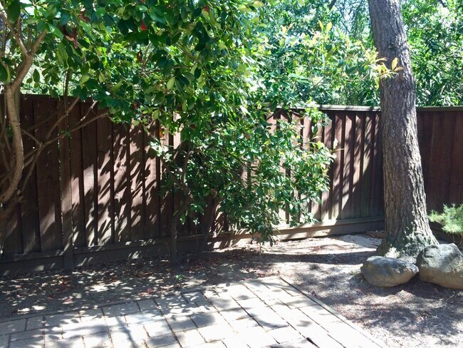 Patio - 2405 Deer Tree Ct