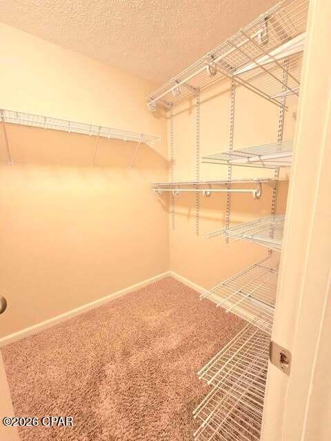 Building Photo - 2703 Camryns Ct