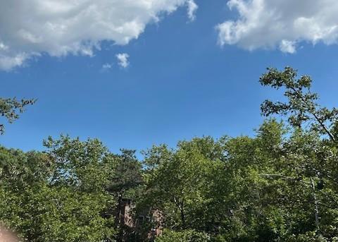 Building Photo - 1 bedroom in Sunnyside Gardens NY 11104