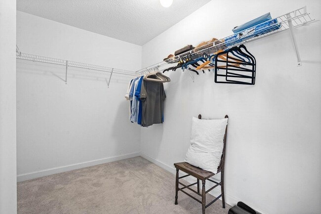 Building Photo - 4111 Plum Tree Ln